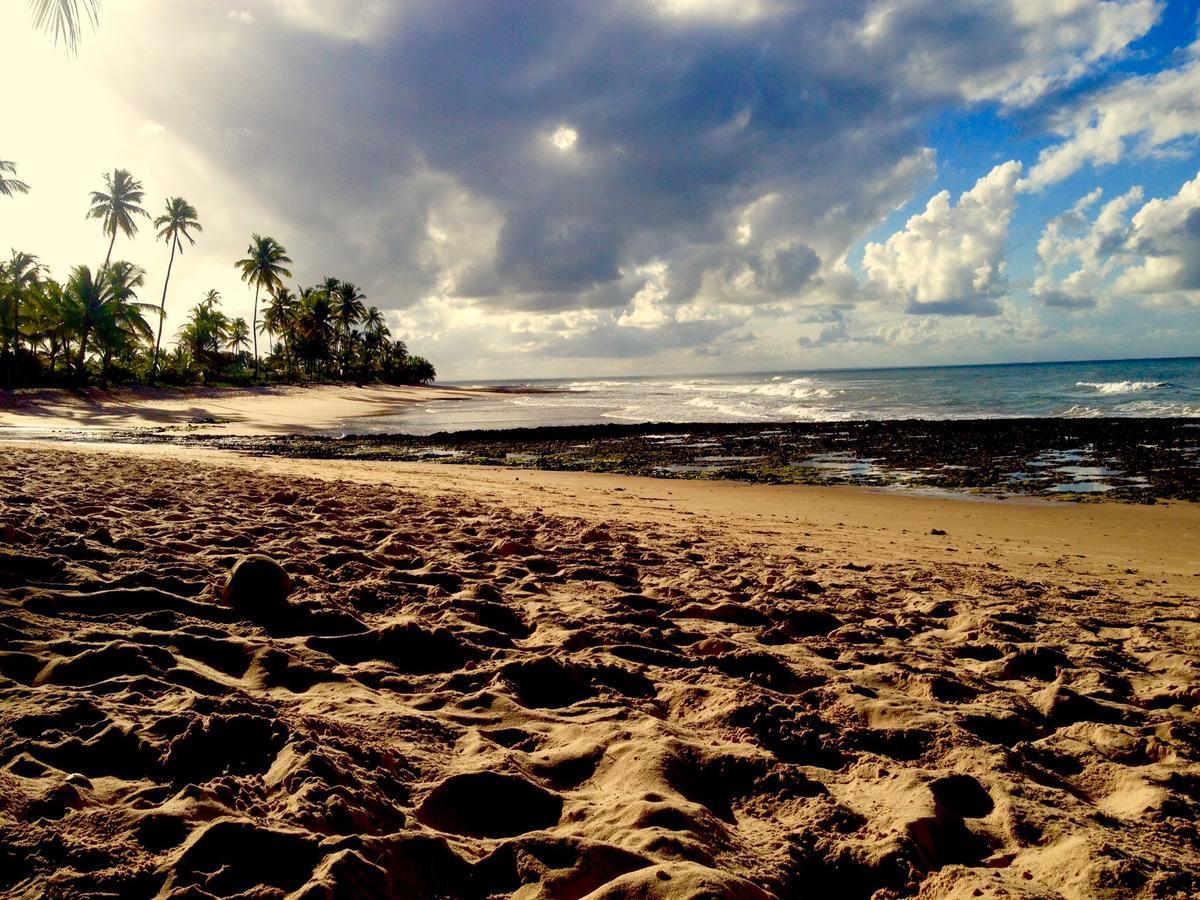 Pachamama Flats - Taipu De Fora Lägenhet Barra Grande  Exteriör bild